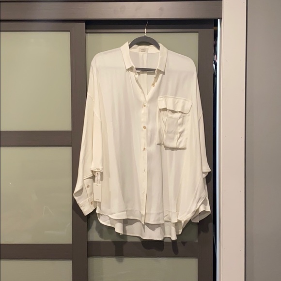 Aritzia Wilfred Kipling Button down